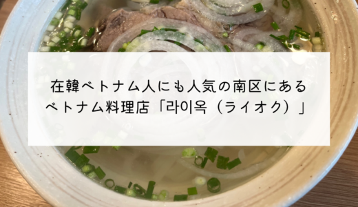 釜山南区にあるベトナム料理店「라이옥（ライオク）」優しい味のフォーが人気！